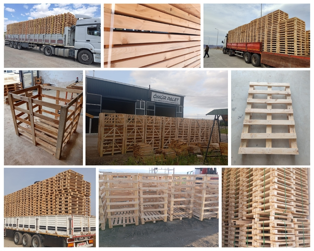 Elsloo Houten Kisten, Europallets Groothandel Kopen